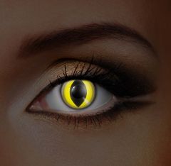 i-Glow Yellow Cat Eye Accessories (Pair)