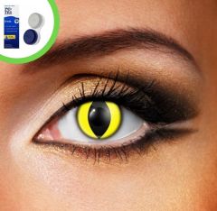 Yellow Cat Eye Accessories (Pairs)
